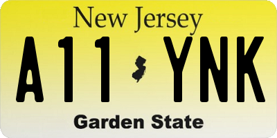 NJ license plate A11YNK