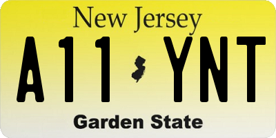 NJ license plate A11YNT