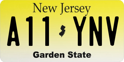 NJ license plate A11YNV
