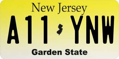 NJ license plate A11YNW