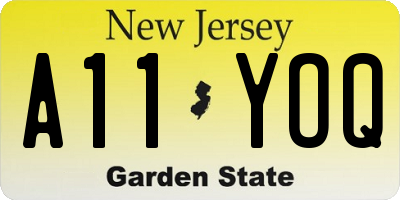 NJ license plate A11YOQ
