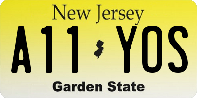 NJ license plate A11YOS