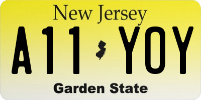 NJ license plate A11YOY