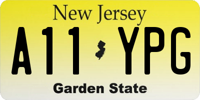 NJ license plate A11YPG
