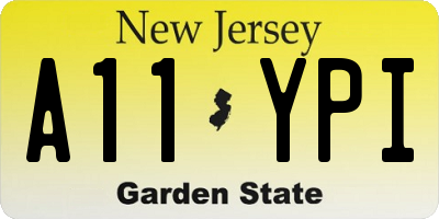 NJ license plate A11YPI
