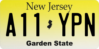 NJ license plate A11YPN