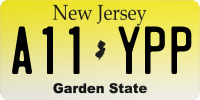 NJ license plate A11YPP