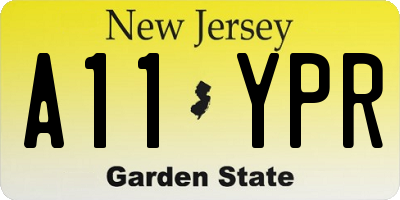 NJ license plate A11YPR