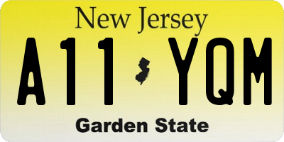 NJ license plate A11YQM