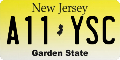 NJ license plate A11YSC