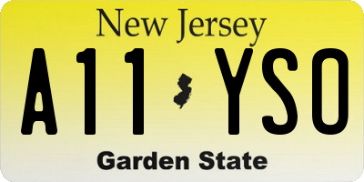 NJ license plate A11YSO