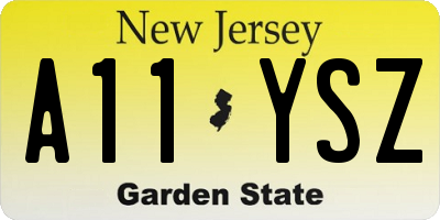 NJ license plate A11YSZ