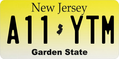NJ license plate A11YTM