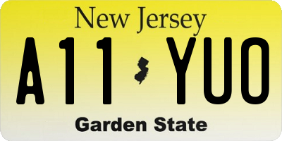 NJ license plate A11YUO