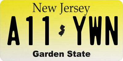 NJ license plate A11YWN