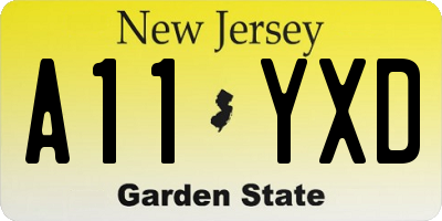 NJ license plate A11YXD