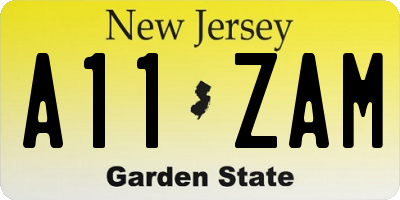NJ license plate A11ZAM