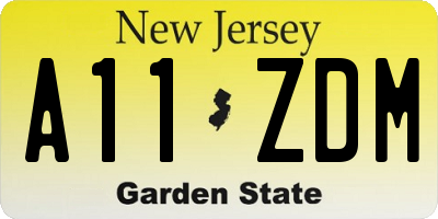 NJ license plate A11ZDM