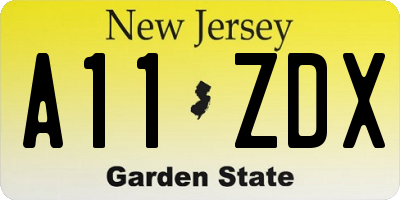 NJ license plate A11ZDX