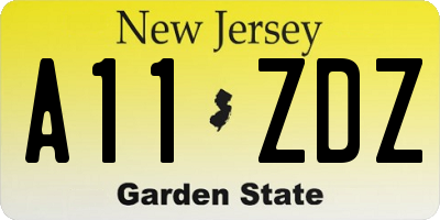 NJ license plate A11ZDZ