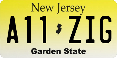 NJ license plate A11ZIG