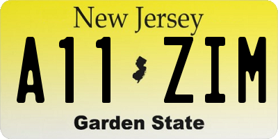 NJ license plate A11ZIM