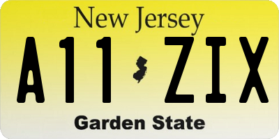 NJ license plate A11ZIX