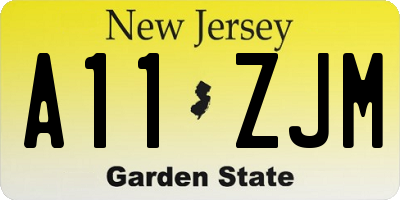NJ license plate A11ZJM