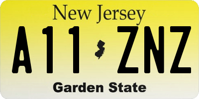 NJ license plate A11ZNZ
