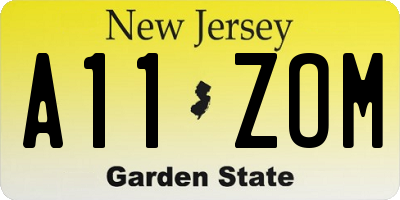 NJ license plate A11ZOM