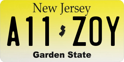 NJ license plate A11ZOY