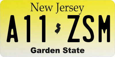 NJ license plate A11ZSM