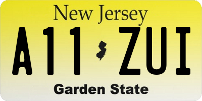 NJ license plate A11ZUI