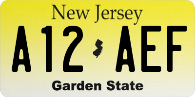 NJ license plate A12AEF