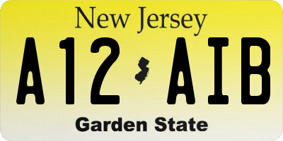 NJ license plate A12AIB