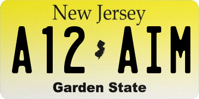 NJ license plate A12AIM