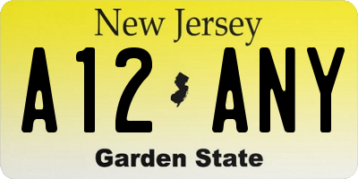 NJ license plate A12ANY