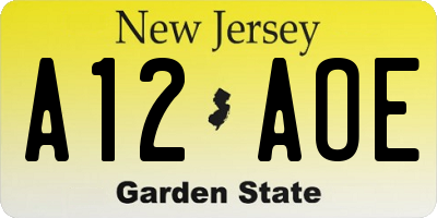 NJ license plate A12AOE