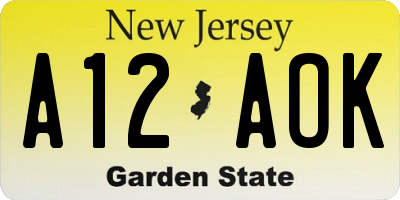 NJ license plate A12AOK