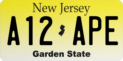 NJ license plate A12APE