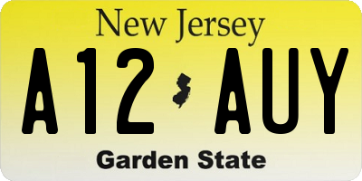 NJ license plate A12AUY
