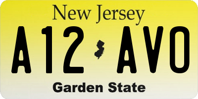 NJ license plate A12AVO
