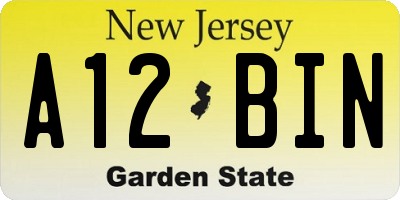 NJ license plate A12BIN