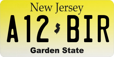 NJ license plate A12BIR