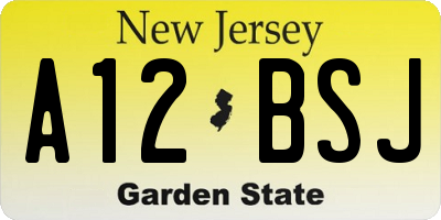 NJ license plate A12BSJ