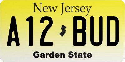 NJ license plate A12BUD