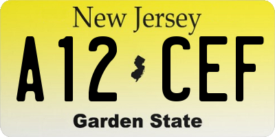 NJ license plate A12CEF