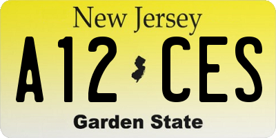 NJ license plate A12CES