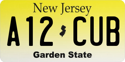 NJ license plate A12CUB