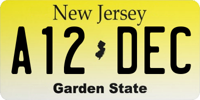 NJ license plate A12DEC